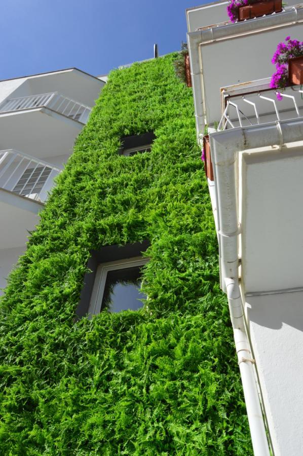 Hostal Mar Del Plata (Adults Only) 엘아레날 외부 사진