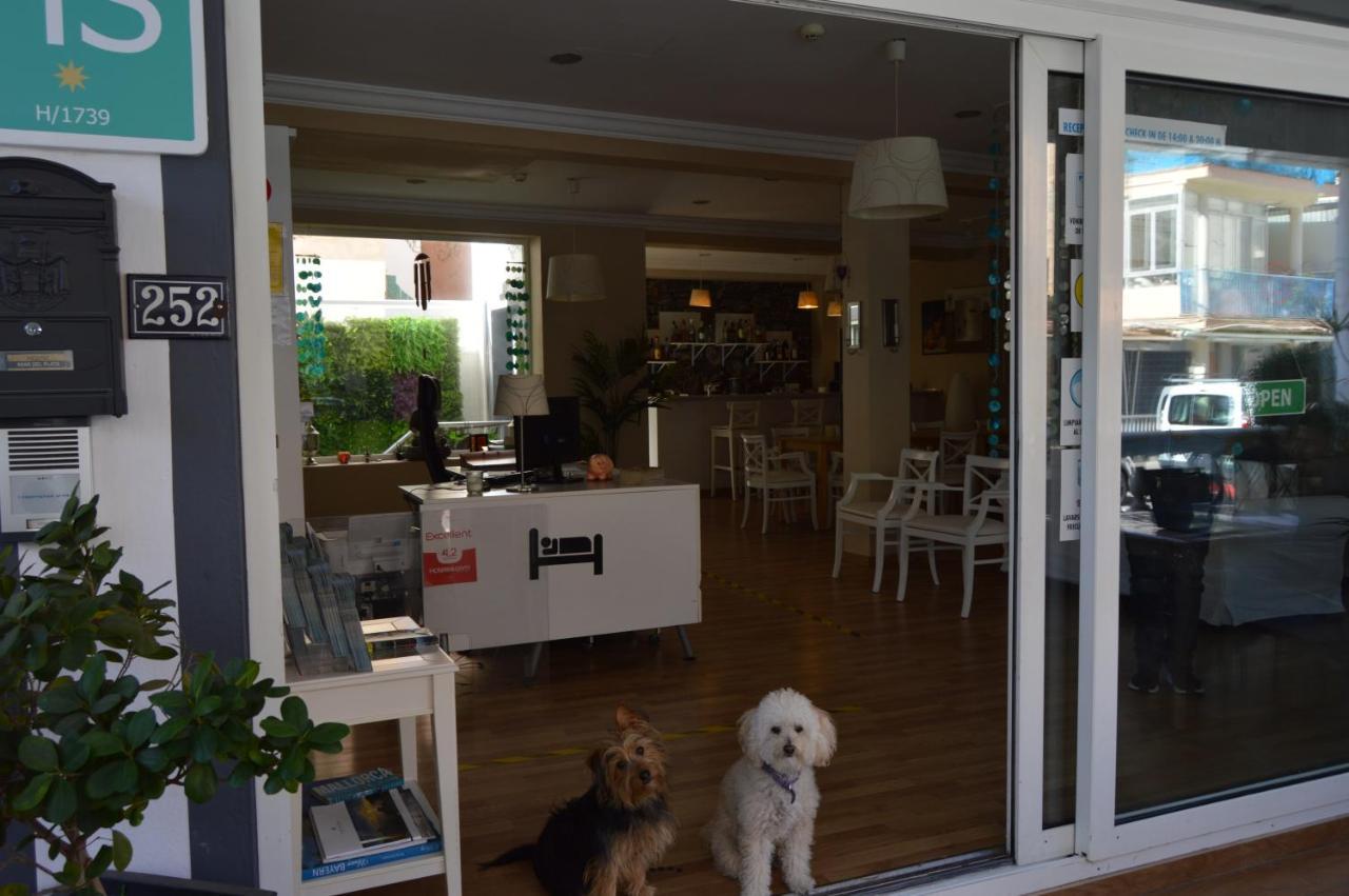 Hostal Mar Del Plata (Adults Only) 엘아레날 외부 사진