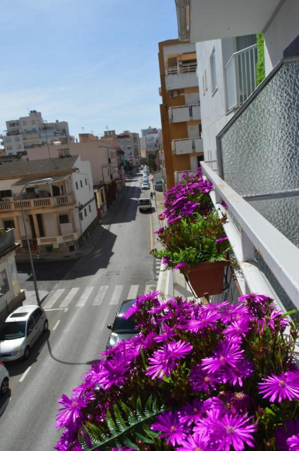 Hostal Mar Del Plata (Adults Only) 엘아레날 외부 사진